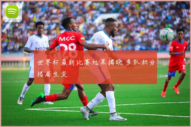 世界杯最新比赛结果揭晓 多队积分格局生变