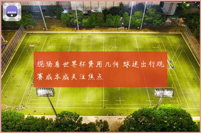 现场看世界杯费用几何 球迷出行观赛成本成关注焦点