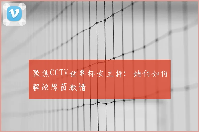 聚焦CCTV世界杯女主持：她们如何解读绿茵激情