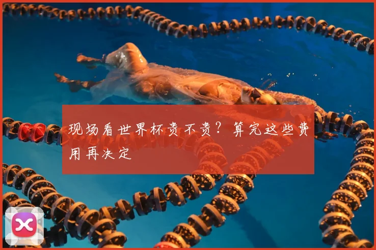 现场看世界杯贵不贵？算完这些费用再决定