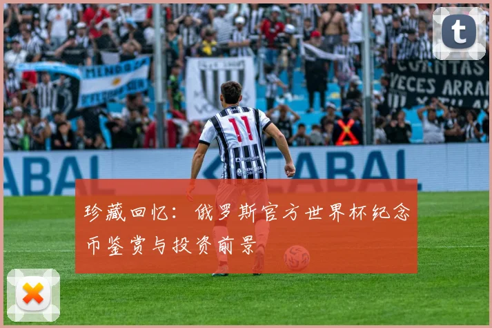 珍藏回忆:俄罗斯官方世界杯纪念币鉴赏与投资前景