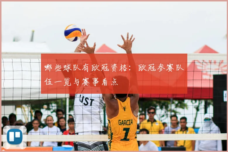 哪些球队有欧冠资格:欧冠参赛队伍一览与赛事看点