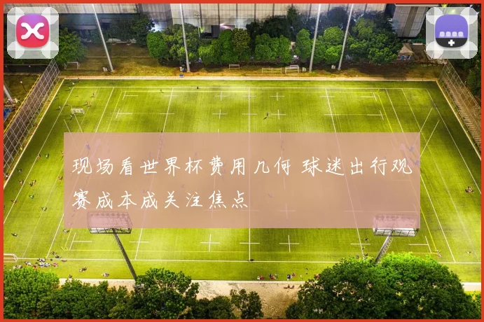 现场看世界杯费用几何 球迷出行观赛成本成关注焦点