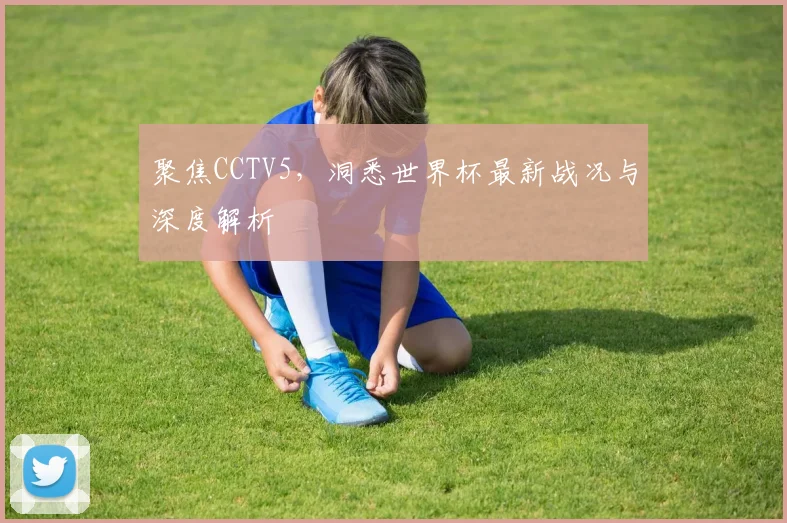 聚焦CCTV5,洞悉世界杯最新战况与深度解析