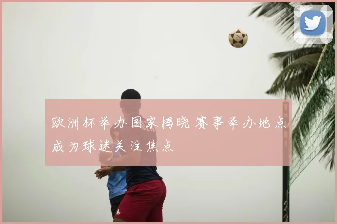 欧洲杯举办国家揭晓 赛事举办地点成为球迷关注焦点
