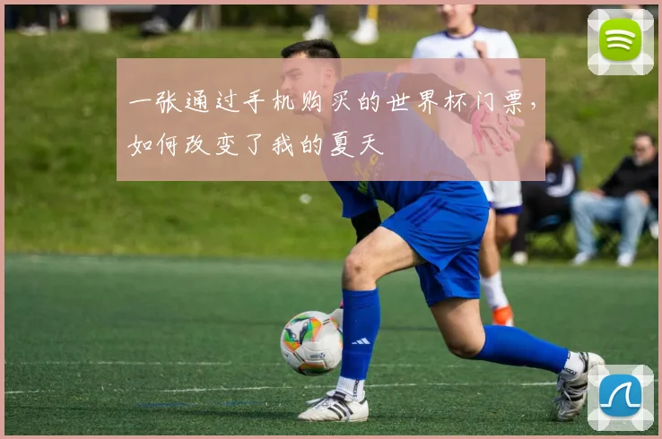 一张通过手机购买的世界杯门票,如何改变了我的夏天