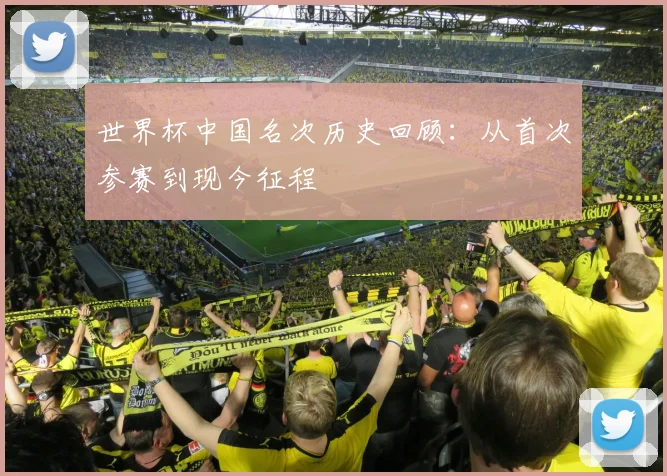 世界杯中国名次历史回顾:从首次参赛到现今征程