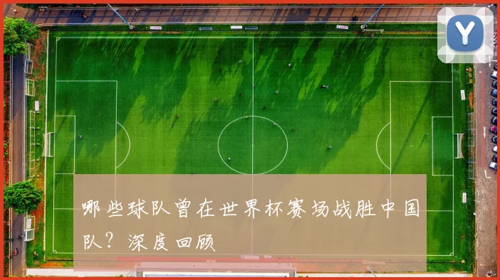 哪些球队曾在世界杯赛场战胜中国队?深度回顾