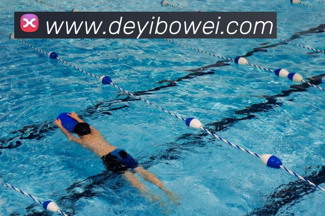 App Interface Preview