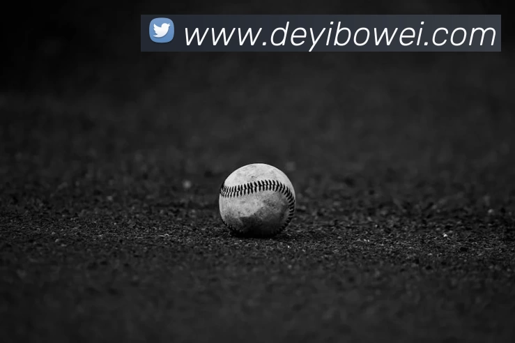 华体会手机网页版APP 封面图